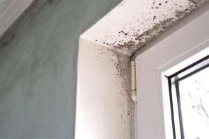 Mould Build Up